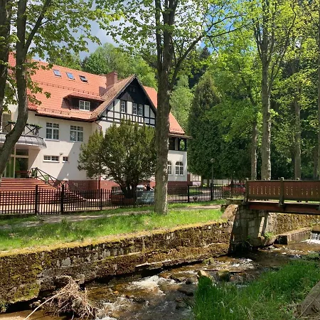 Jarzebina Duszniki Zdrój