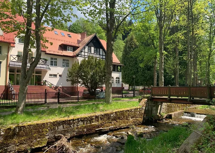 Jarzebina דוז'ניקי ז'דרוז'